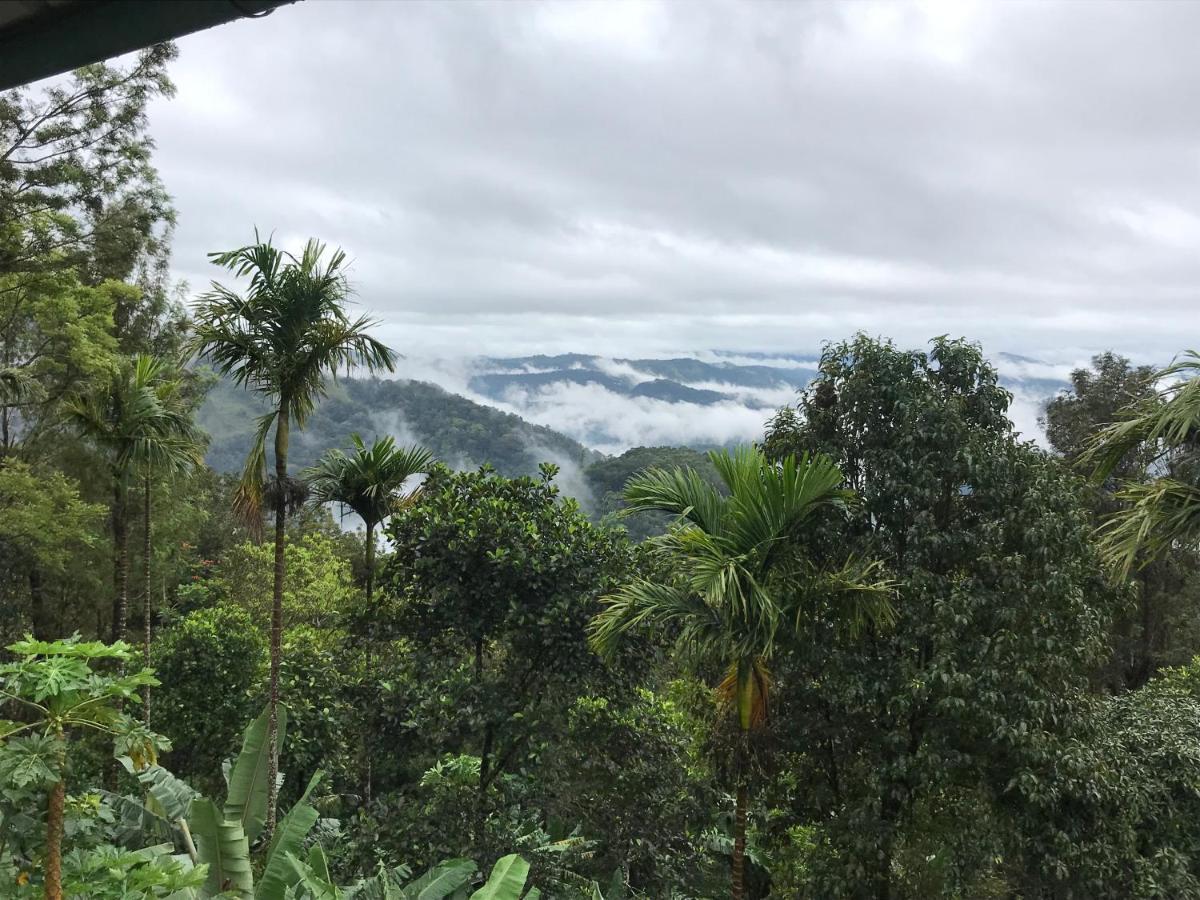 Munnar Nature Dale Villa Dış mekan fotoğraf
